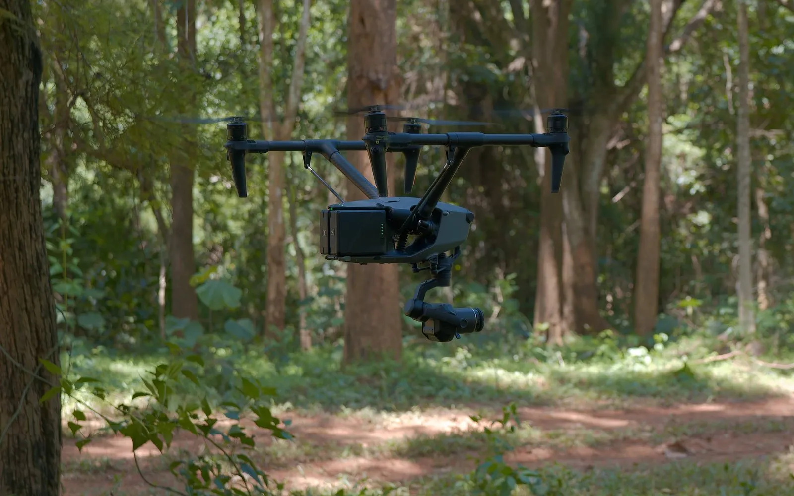 โดรน DJI Inspire 3 กำลังบินในป่า