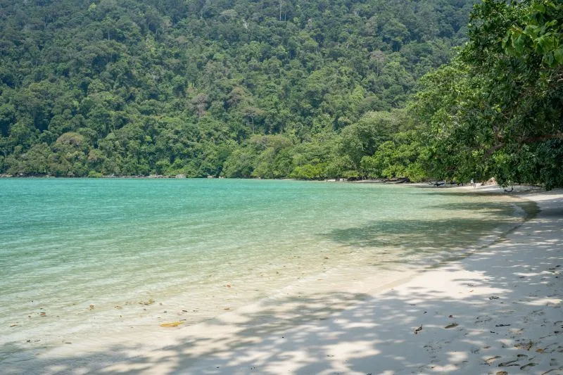 Film location scouted by Bangkok Production Company in Thailand: jungle beach