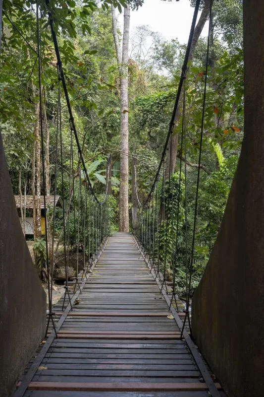 Film location scouted by Bangkok Production Company in Thailand: rope bridge in the jungle