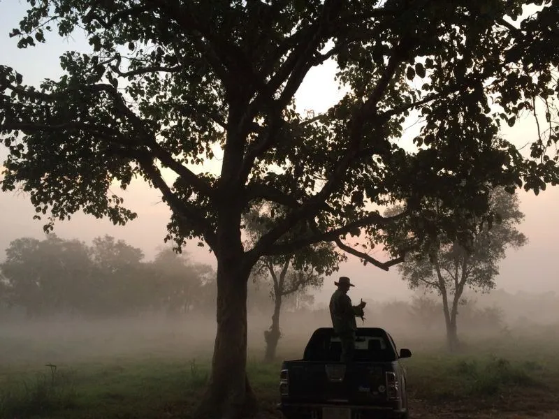 Film location scouted by Bangkok Production Company in Thailand: misty field with a large tree
