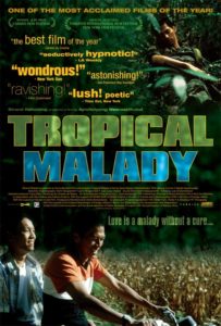tropical malady